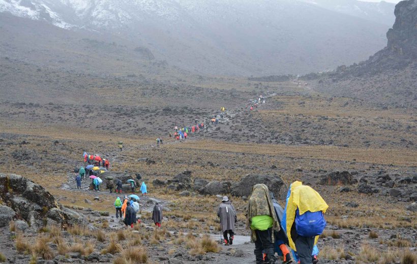 7 Days Hiking  Kilimanjaro Rongai Route