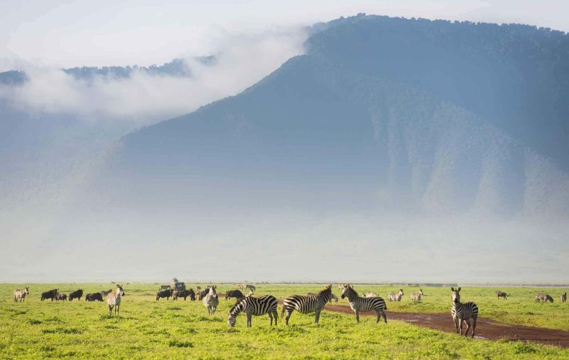 2 Days Short Safari Experience in Tanzania