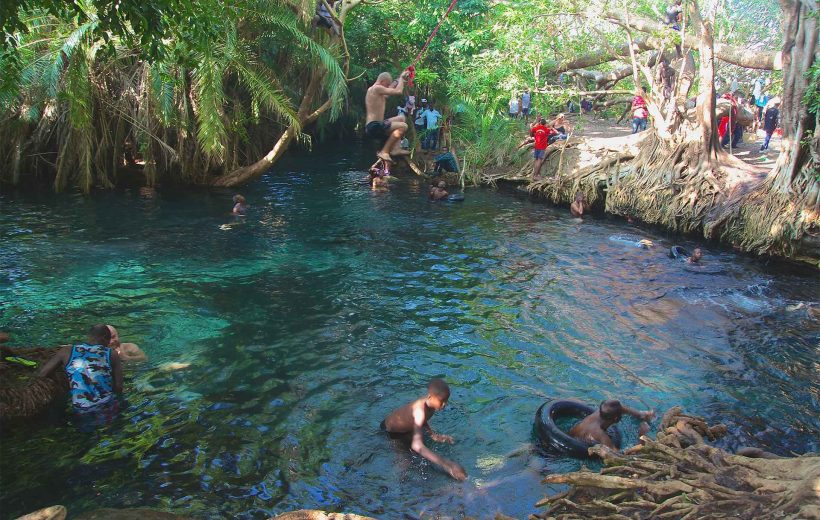 Kikuletwa Hot Springs Day Trip