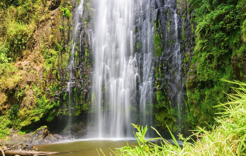 Materuni Waterfall & Coffee Tour